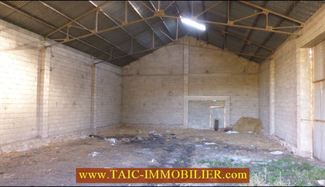 A vendre par TAIC Immobilier, Tarn Aveyron Immobilier Caractere,81,Tarn,Hangar agricole de 200m2 et son auvent de 100m2 sur 1 Hectare de terrain