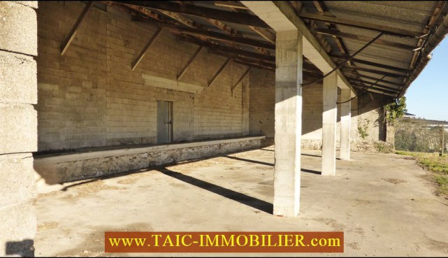 A vendre par TAIC Immobilier, Tarn Aveyron Immobilier Caractere,81,Tarn,Hangar agricole de 200m2 et son auvent de 100m2 sur 1 Hectare de terrain