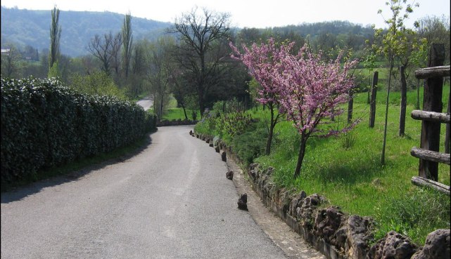 Avendre,12,Aveyron,terrain constructible,atelier artisanal,1 hectare,taic immobilier