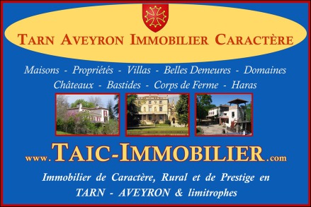 A vendre,12,AVEYRON,Charmant corps de ferme rénové d'environ 110m2 , puits, dépendances sur 3800m2 de terrain,naucelle,rieupeyroux,taic immobilier,maison de charme,ferme rénovée,puits,calme,vue,belle pierre,agence immobilière cordes sur ciel, occitanie,12
