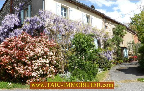 Vendu par TAIC Immobilier,agence immobilière Cordes sur Ciel,81,12,Agence immobiliere,tarn,aveyron,maison de caractère,ferme,belles demeures