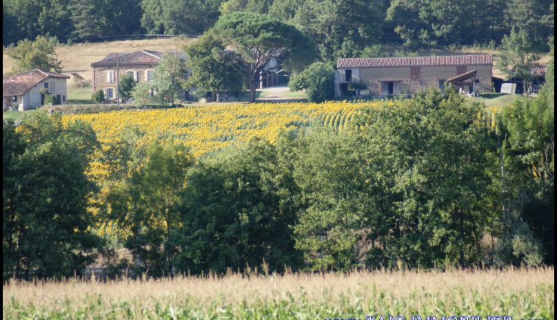 A vendre Castelnau de Montmiral Domaine de 8 hectares avec piscine, Maison principale, maison de fonction, 6 boxes et de nombreuses dépendances