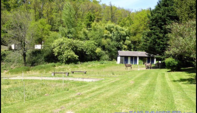 A vendre par TAIC Immobilier secteur Albi Bastide de 1200m2 sur 41 hectares, chalets, camping, rivière,piscine
