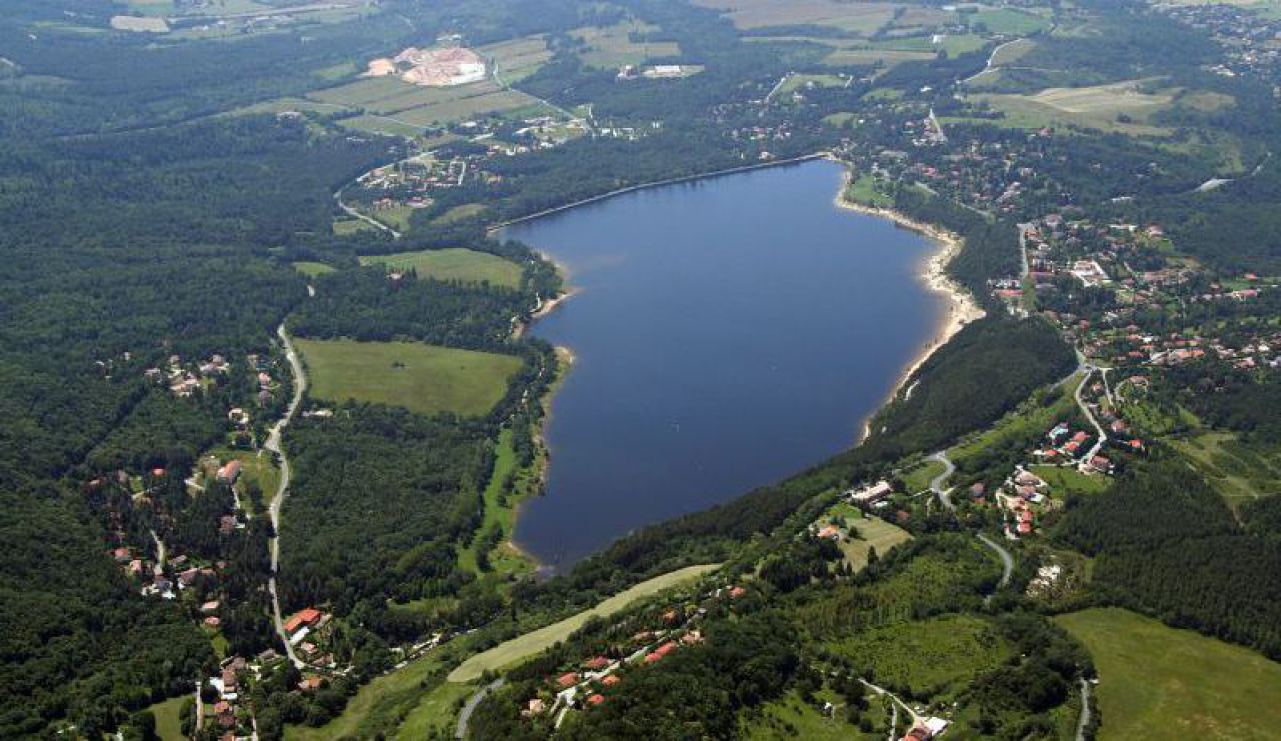 A vendre par TAIC Immobilier agence immobilière à cordes sur ciel, secteur saint ferreol, revel, soreze,Bel ensemble immobilier construction bois, toits végétalisés etc ... Sur 5 hectares, piscine, dépendances,hammam,