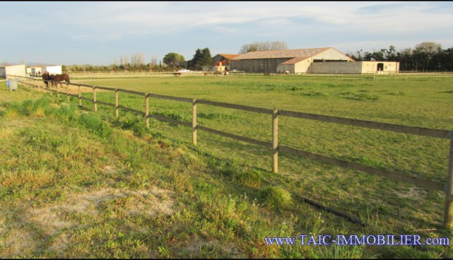 A vendre par TAIC Immobilier secteur Beaucaire Arles centre équestre sur 5ha avec manège, 15 boxes, 28 paddocks avec abris