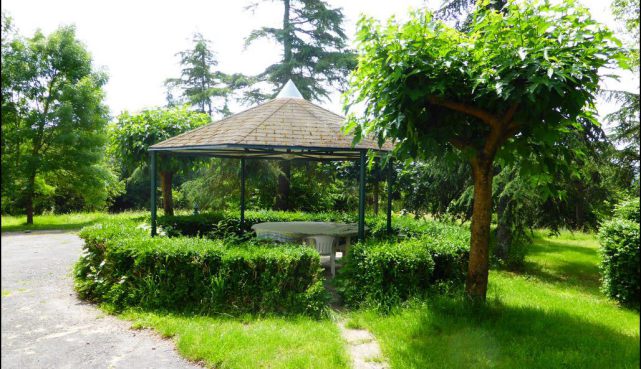 A vendre par TAIC Immobilier Graulhet Maison de Maître sur 7,5 hectares avec piscine et dépendances, boxes chevaux, prairie, puits