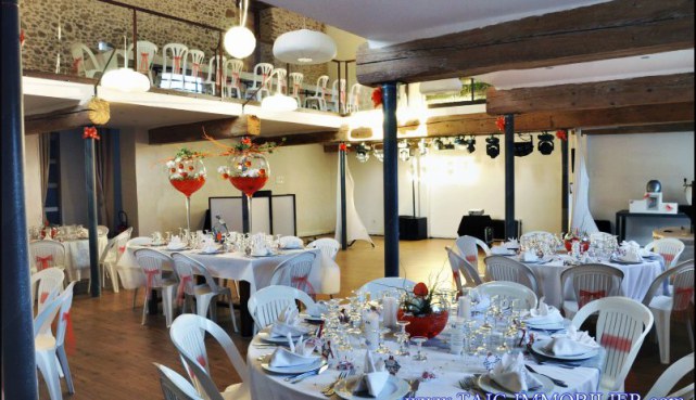 A vendre par Tarn Aveyron Immobilier Caractere, Castres, maison de maitre 400m2 et sa salle de reception, gites, chambres d'hotes sur 4800m2 de terrain