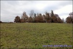 A vendre par TAIC Immobilier Graulhet Maison de Maître sur 7,5 hectares avec piscine et dépendances, boxes chevaux, prairie, puits