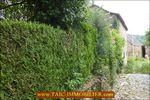 A vendre par Tarn Aveyron Immobilier Caractère, secteur Villefranche de Rouergue, La Fouillade,12, Aveyron, corps de ferme à rénover de 150m2 sur 4 hectares, dépendances,granges,prairie,calme,source,taic immobilier,agence immobilière cordes sur ciel