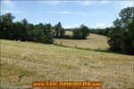 A vendre par Tarn Aveyron Immobilier Caractère, secteur Villefranche de Rouergue, La Fouillade,12, Aveyron, corps de ferme à rénover de 150m2 sur 4 hectares, dépendances,granges,prairie,calme,source,taic immobilier,agence immobilière cordes sur ciel