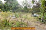 TAIC Immobilier, Tarn Aveyron Immobilier Caractere,, agence immobiliere cordes sur ciel, A vendre - TARN - 81 - Plateau Cordais : Superbe Mas du XIXième 200m2 avec piscine et dépendances sur 5200m2 de parc.