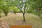TAIC Immobilier, Tarn Aveyron Immobilier Caractere,, agence immobiliere cordes sur ciel, A vendre - TARN - 81 - Plateau Cordais : Superbe Mas du XIXième 200m2 avec piscine et dépendances sur 5200m2 de parc.
