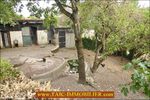 TAIC Immobilier, Tarn Aveyron Immobilier Caractere,, agence immobiliere cordes sur ciel, A vendre - TARN - 81 - Plateau Cordais : Superbe Mas du XIXième 200m2 avec piscine et dépendances sur 5200m2 de parc.