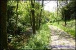 A vendre par taic immobilier, tarn, vallence d'albigeois, superbe bastide de 1200m2 sur 41 hectares avec piscine, restaurant, chalets, camping ..