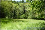A vendre par taic immobilier, tarn, vallence d'albigeois, superbe bastide de 1200m2 sur 41 hectares avec piscine, restaurant, chalets, camping ..