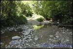A vendre par taic immobilier, tarn, vallence d'albigeois, superbe bastide de 1200m2 sur 41 hectares avec piscine, restaurant, chalets, camping ..
