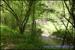 A vendre par taic immobilier, tarn, vallence d'albigeois, superbe bastide de 1200m2 sur 41 hectares avec piscine, restaurant, chalets, camping ..