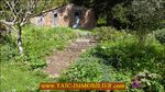 A vendre,taic immobilier,tarn aveyron immobilier,agence immobiliere cordes sur ciel,81,tarn,realmont,Charmant corps de ferme rénové de 275m2 avec Gîte et dépendances sur 1Ha,puits