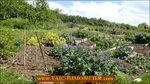 A vendre,taic immobilier,tarn aveyron immobilier,agence immobiliere cordes sur ciel,81,tarn,realmont,Charmant corps de ferme rénové de 275m2 avec Gîte et dépendances sur 1Ha,puits