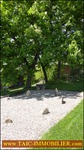A vendre,taic immobilier,tarn aveyron immobilier,agence immobiliere cordes sur ciel,81,tarn,realmont,Charmant corps de ferme rénové de 275m2 avec Gîte et dépendances sur 1Ha,puits