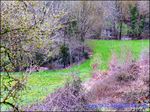 A vendre par Tarn Aveyron Immobilier Caractere, Secteur Teillet Corps de ferme de 280m2 sur 3Ha de terre bordé par une rivière, étang,  grange et dépendances