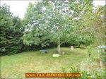 A vendre par Tarn Aveyron Immobilier,12,Aveyron,Ancien presbytere 150m2 renove,1700m2 de terrain,charme,calme,agence immobilière cordes sur ciel