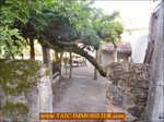 A vendre par TAIC Immobilier,charmante maison 100m2,4 chambres,riviere, rénovée,Tarn,Tarn aveyron immobilier caractere,agence immobiliere cordes sur ciel,realmont