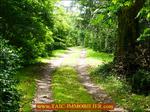 A vendre par Tarn Aveyron Immobilier Caractère agence immobilière à cordes sur Ciel : 81 - TARN , Graulhet Belle maison de Maître 330m2 à rénover sur 7300m2 de parc aux arbres bicentenaires, dépendances 160m2. Proche centre ville