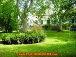 A vendre par Tarn Aveyron Immobilier Caractère agence immobilière à cordes sur Ciel : 81 - TARN , Graulhet Belle maison de Maître 330m2 à rénover sur 7300m2 de parc aux arbres bicentenaires, dépendances 160m2. Proche centre ville