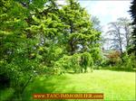 A vendre par Tarn Aveyron Immobilier Caractère agence immobilière à cordes sur Ciel : 81 - TARN , Graulhet Belle maison de Maître 330m2 à rénover sur 7300m2 de parc aux arbres bicentenaires, dépendances 160m2. Proche centre ville