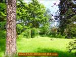 A vendre par Tarn Aveyron Immobilier Caractère agence immobilière à cordes sur Ciel : 81 - TARN , Graulhet Belle maison de Maître 330m2 à rénover sur 7300m2 de parc aux arbres bicentenaires, dépendances 160m2. Proche centre ville