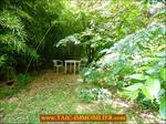 A vendre par Tarn Aveyron Immobilier Caractère agence immobilière à cordes sur Ciel : 81 - TARN , Graulhet Belle maison de Maître 330m2 à rénover sur 7300m2 de parc aux arbres bicentenaires, dépendances 160m2. Proche centre ville