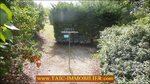 a vendre,81,tarn,gaillac,albi,castelnau de montmiral,propriété,350m2,piscine,dépendances,hectare,calme,vue,tarn aveyron immobilier,caractere,taic immobilier,agence immobiliere cordes sur ciel