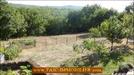  a vendre,82,tarn et garonne,st antonin noble val,caussade,laguepie,luxueuse maison,hectare,charme,calme,piscine,abris chevaux,vue,degage,taic immobilier,tarn aveyron immobilier caractere,albi,montauban,agence immobiliere de prestige,cordes sur ciel