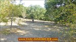 a vendre,82,tarn et garonne,st antonin noble val,caussade,laguepie,luxueuse maison,hectare,charme,calme,piscine,abris chevaux,vue,degage,taic immobilier,tarn aveyron immobilier caractere,albi,montauban,agence immobiliere de prestige,cordes sur ciel