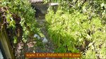  a vendre,82,tarn et garonne,st antonin noble val,caussade,laguepie,luxueuse maison,hectare,charme,calme,piscine,abris chevaux,vue,degage,taic immobilier,tarn aveyron immobilier caractere,albi,montauban,agence immobiliere de prestige,cordes sur ciel