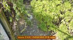  a vendre,82,tarn et garonne,st antonin noble val,caussade,laguepie,luxueuse maison,hectare,charme,calme,piscine,abris chevaux,vue,degage,taic immobilier,tarn aveyron immobilier caractere,albi,montauban,agence immobiliere de prestige,cordes sur ciel