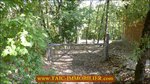  a vendre,82,tarn et garonne,st antonin noble val,caussade,laguepie,luxueuse maison,hectare,charme,calme,piscine,abris chevaux,vue,degage,taic immobilier,tarn aveyron immobilier caractere,albi,montauban,agence immobiliere de prestige,cordes sur ciel