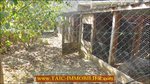  a vendre,82,tarn et garonne,st antonin noble val,caussade,laguepie,luxueuse maison,hectare,charme,calme,piscine,abris chevaux,vue,degage,taic immobilier,tarn aveyron immobilier caractere,albi,montauban,agence immobiliere de prestige,cordes sur ciel