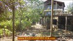  a vendre,82,tarn et garonne,st antonin noble val,caussade,laguepie,luxueuse maison,hectare,charme,calme,piscine,abris chevaux,vue,degage,taic immobilier,tarn aveyron immobilier caractere,albi,montauban,agence immobiliere de prestige,cordes sur ciel