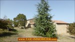 a vendre,81,tarn,lautrec,corps de ferme,a renover,,hectare,puit,grange,four a pain,lac,taic immobilier,agence immobiliere cordes sur ciel,tarn aveyron immobilier caractere