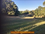 a vendre,81,tarn,lautrec,corps de ferme,a renover,,hectare,puit,grange,four a pain,lac,taic immobilier,agence immobiliere cordes sur ciel,tarn aveyron immobilier caractere
