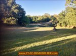 a vendre,81,tarn,lautrec,corps de ferme,a renover,,hectare,puit,grange,four a pain,lac,taic immobilier,agence immobiliere cordes sur ciel,tarn aveyron immobilier caractere