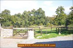 A vendre, 87,Secteur Limoges,poitier,bellac,vaste propriété sur 27 Hectares composée d'une maison d'habitation, dépendances, 19 boxes , carrière,puits,rond de longe, elevage a vendre,taic-immobilier,propriété equestre,paddocks,agence immobiliere tarn avey