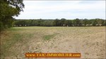 A vendre, 87,Secteur Limoges,poitier,bellac,vaste propriété sur 27 Hectares composée d'une maison d'habitation, dépendances, 19 boxes , carrière,puits,rond de longe, elevage a vendre,taic-immobilier,propriété equestre,paddocks,agence immobiliere tarn avey