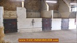 A vendre, 87,Secteur Limoges,poitier,bellac,vaste propriété sur 27 Hectares composée d'une maison d'habitation, dépendances, 19 boxes , carrière,puits,rond de longe, elevage a vendre,taic-immobilier,propriété equestre,paddocks,agence immobiliere tarn avey