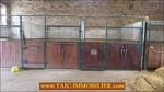 A vendre, 87,Secteur Limoges,poitier,bellac,vaste propriété sur 27 Hectares composée d'une maison d'habitation, dépendances, 19 boxes , carrière,puits,rond de longe, elevage a vendre,taic-immobilier,propriété equestre,paddocks,agence immobiliere tarn avey