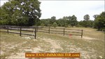 A vendre, 87,Secteur Limoges,poitier,bellac,vaste propriété sur 27 Hectares composée d'une maison d'habitation, dépendances, 19 boxes , carrière,puits,rond de longe, elevage a vendre,taic-immobilier,propriété equestre,paddocks,agence immobiliere tarn avey