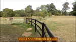 A vendre, 87,Secteur Limoges,poitier,bellac,vaste propriété sur 27 Hectares composée d'une maison d'habitation, dépendances, 19 boxes , carrière,puits,rond de longe, elevage a vendre,taic-immobilier,propriété equestre,paddocks,agence immobiliere tarn avey