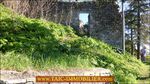 A vendre,81,Tarn,Cordes sur Ciel,immeuble d'habitation,maison de ville,puits,parking,taic immobilier,taic-immobilier,agence immobiliere Cordes sur ciel,Albi,Gaillac